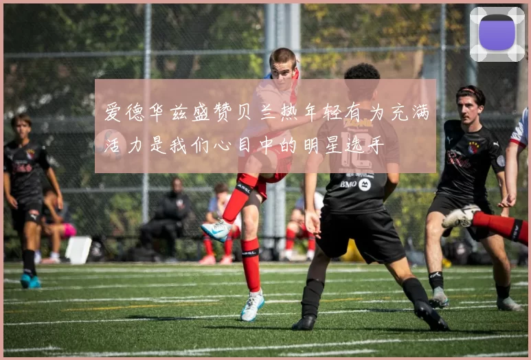 爱德华兹盛赞贝兰热年轻有为充满活力是我们心目中的明星选手