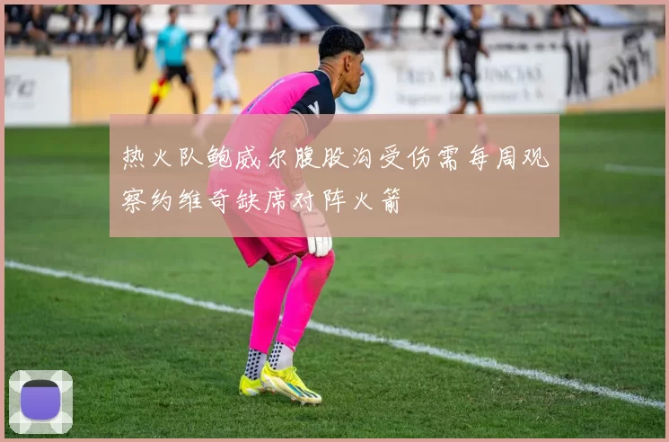 热火队鲍威尔腹股沟受伤需每周观察约维奇缺席对阵火箭