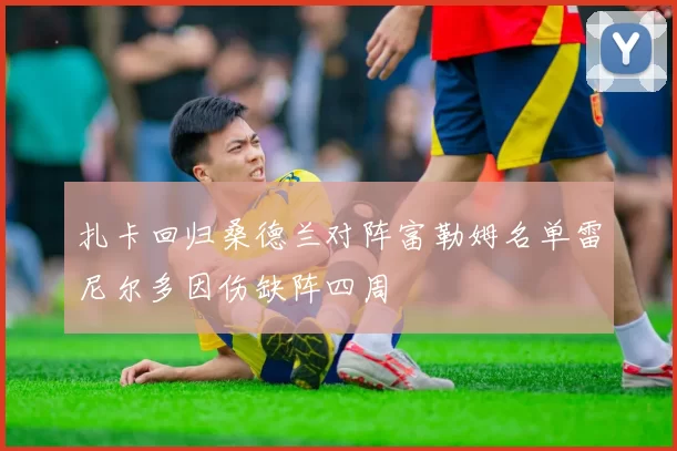 扎卡回归桑德兰对阵富勒姆名单雷尼尔多因伤缺阵四周