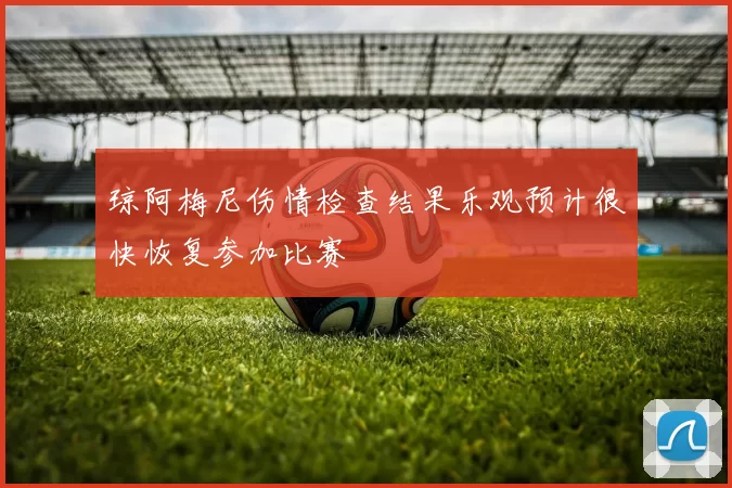 琼阿梅尼伤情检查结果乐观预计很快恢复参加比赛
